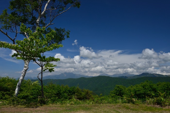 d0341880_14411575.jpg