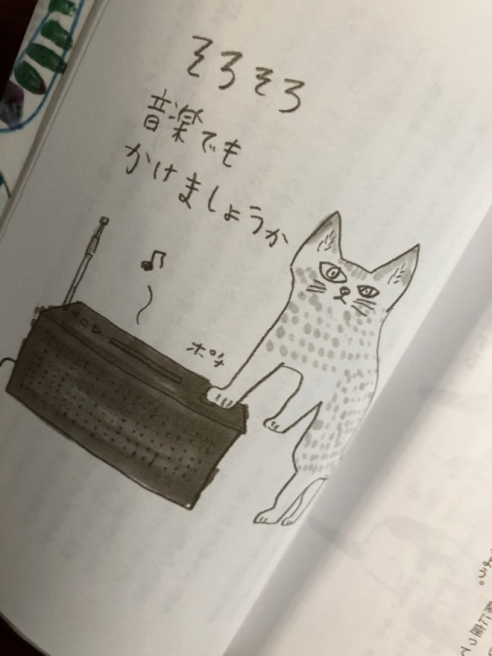 海辺の本棚『猫は、うれしかったことしか覚えていない』_a0135581_06352570.jpeg