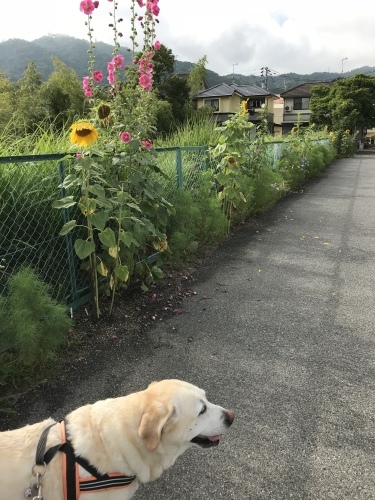 f0315081_17491865.jpeg