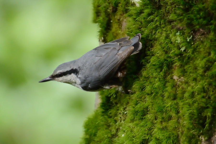 a0143491_00381338.jpg