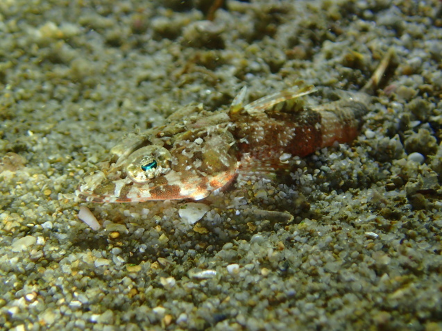 e0115199_13560152.jpg