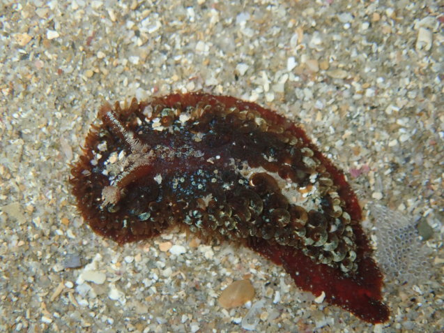 e0115199_13574950.jpg