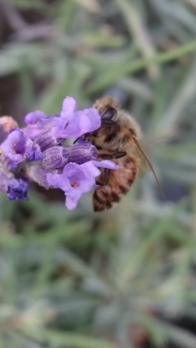 e0351303_21445614.jpg