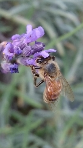 e0351303_21554018.jpg