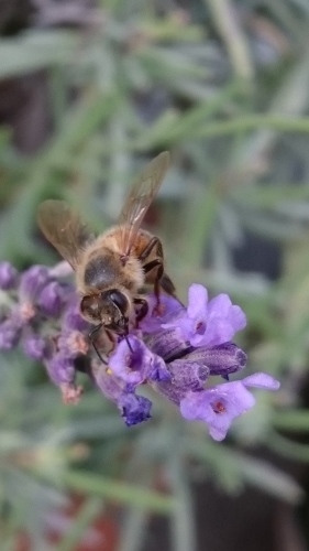 e0351303_21590957.jpg