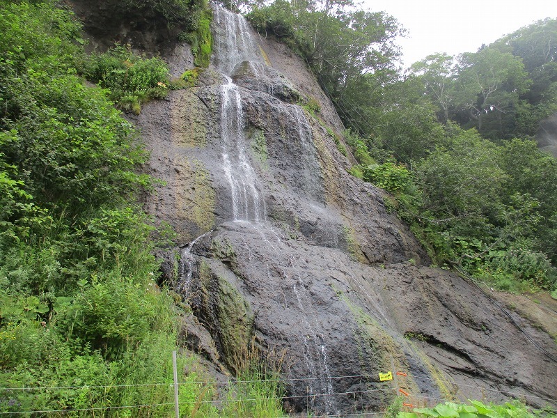 f0202703_21393651.jpg