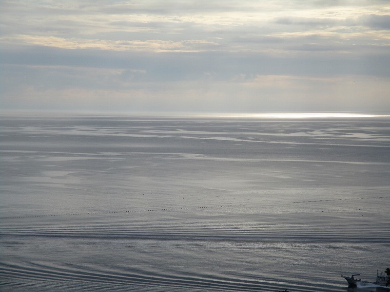 f0202703_22110339.jpg