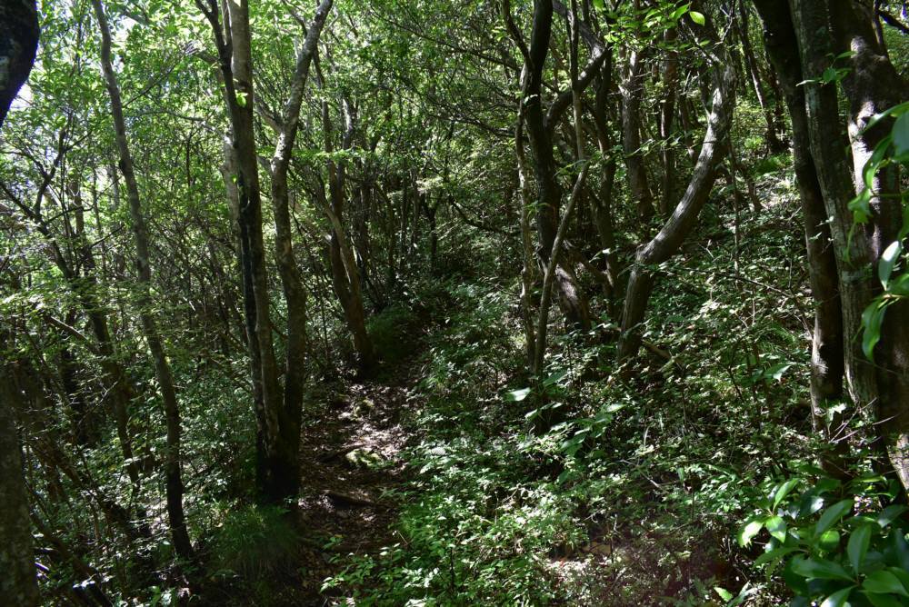 f0212511_06491452.jpg