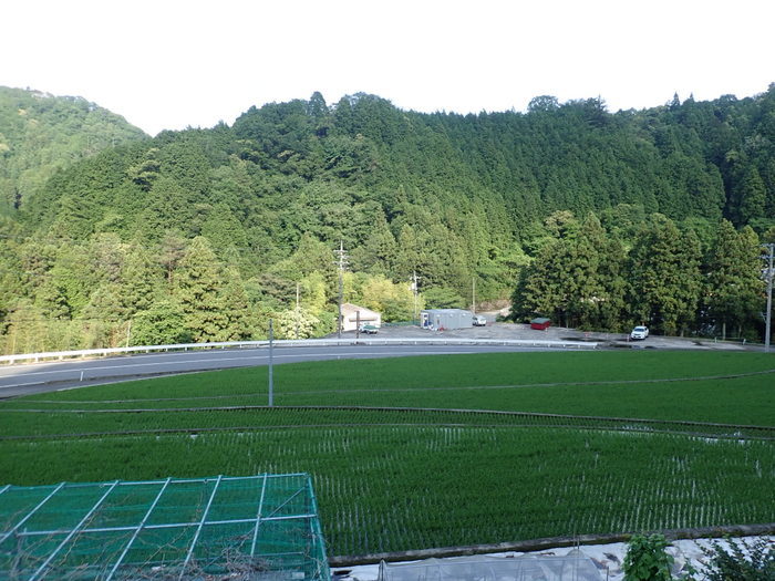 霧のち小雨のち晴れ_c0116915_00171827.jpg