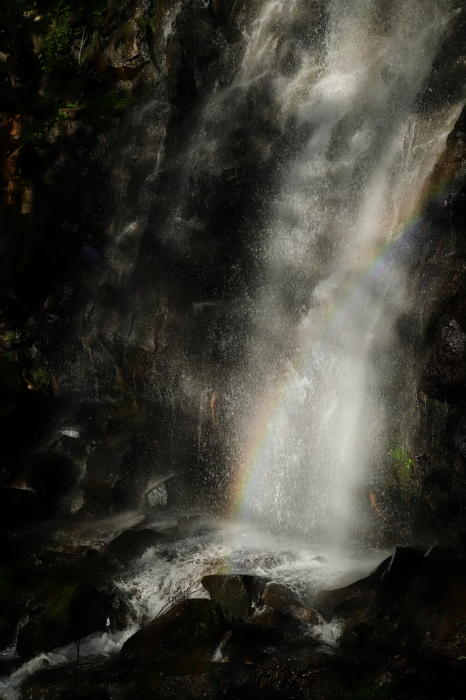 e0169421_21133891.jpg