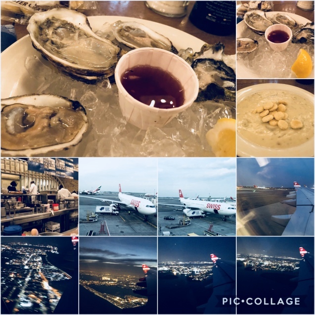 e0382723_10454029.jpeg