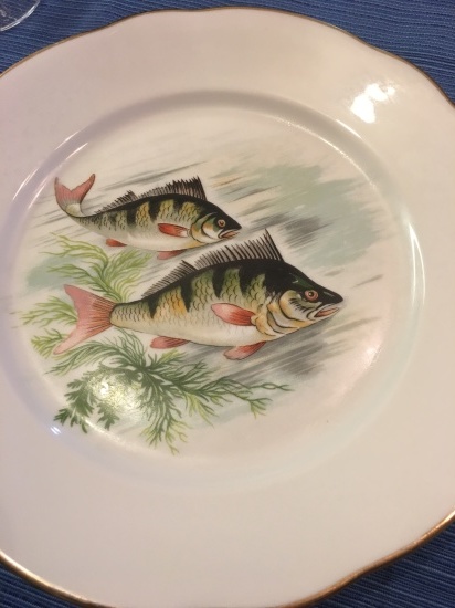 お魚の向きのはなし Roko S Diary