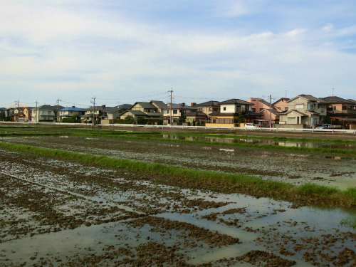 今日のウォーキング_b0008825_06402923.jpg