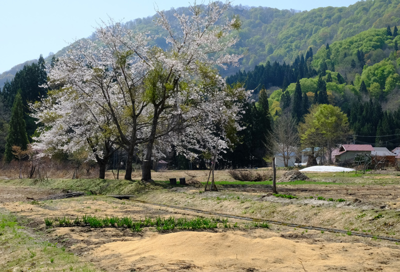 2018 (12) 福島県奥会津-裏磐梯　春のくるま旅_a0216227_07571232.jpg