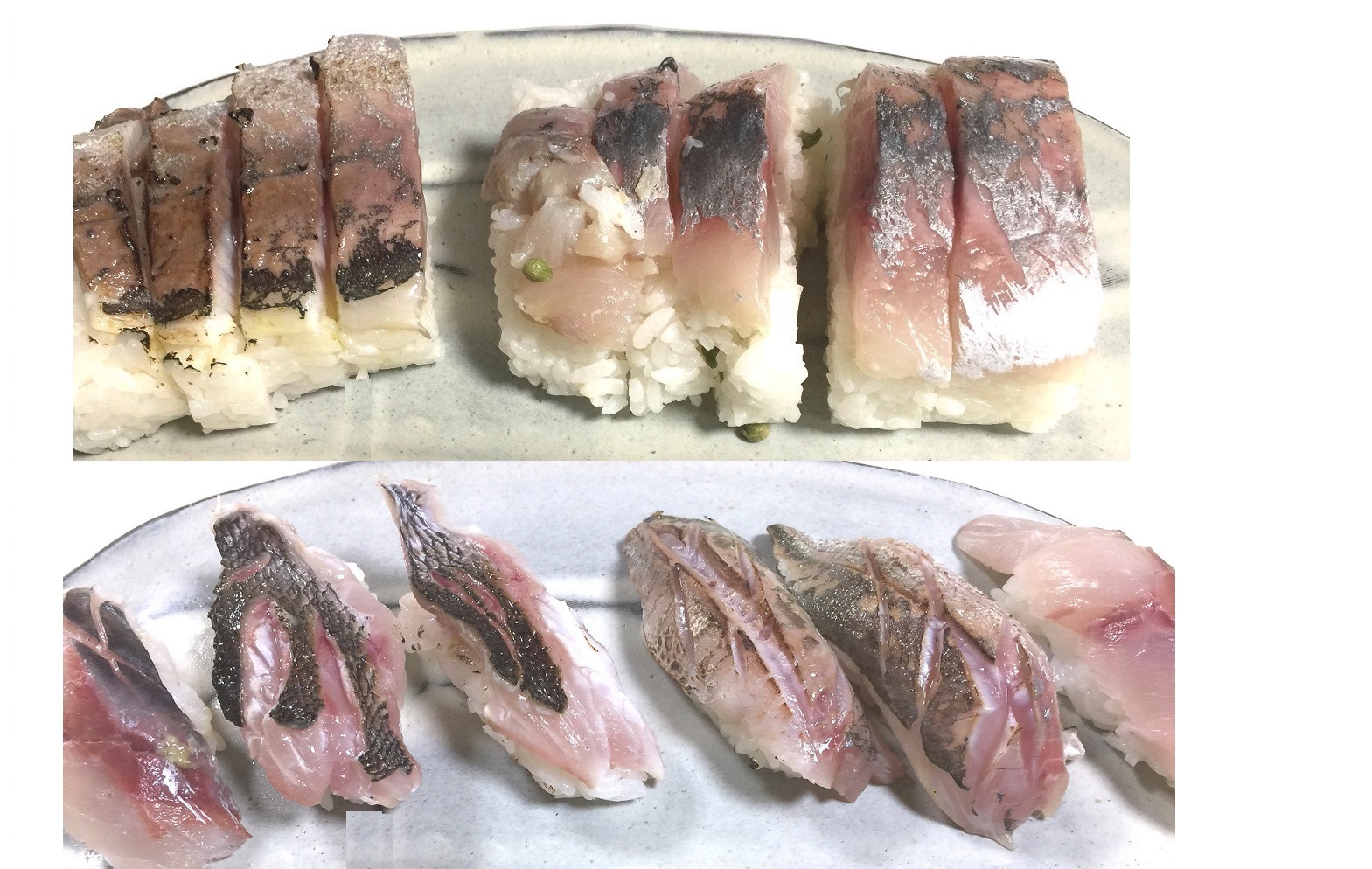 鰺イサキ料理3日目 新 直哉の釣り魚料理 鰺イサキ料理3日目 新 直哉の釣り魚料理