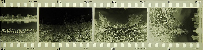 c0381632_19523402.jpg