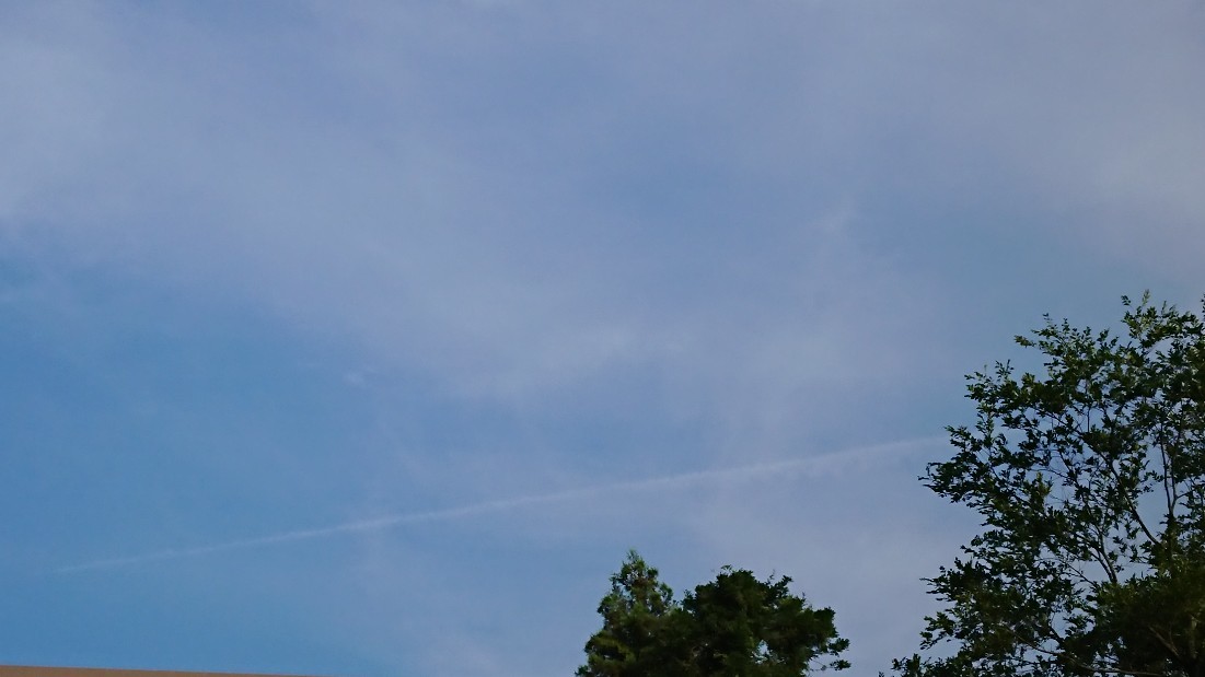 c0175339_17502368.jpg