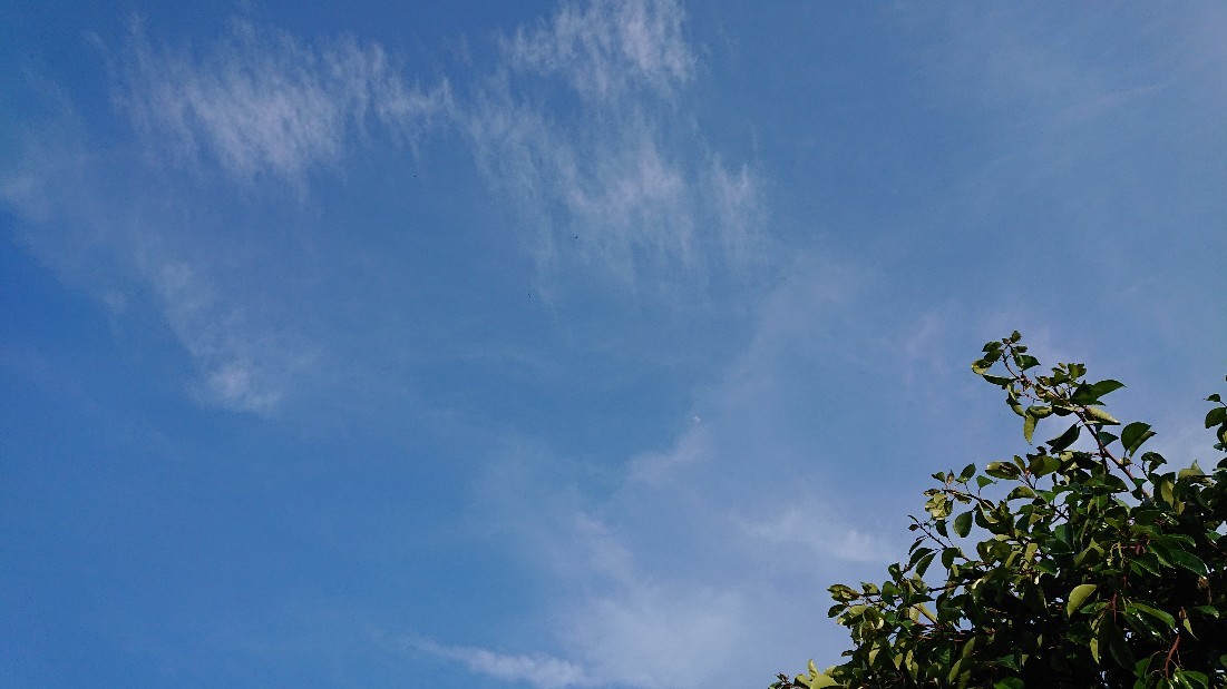 c0175339_17502382.jpg