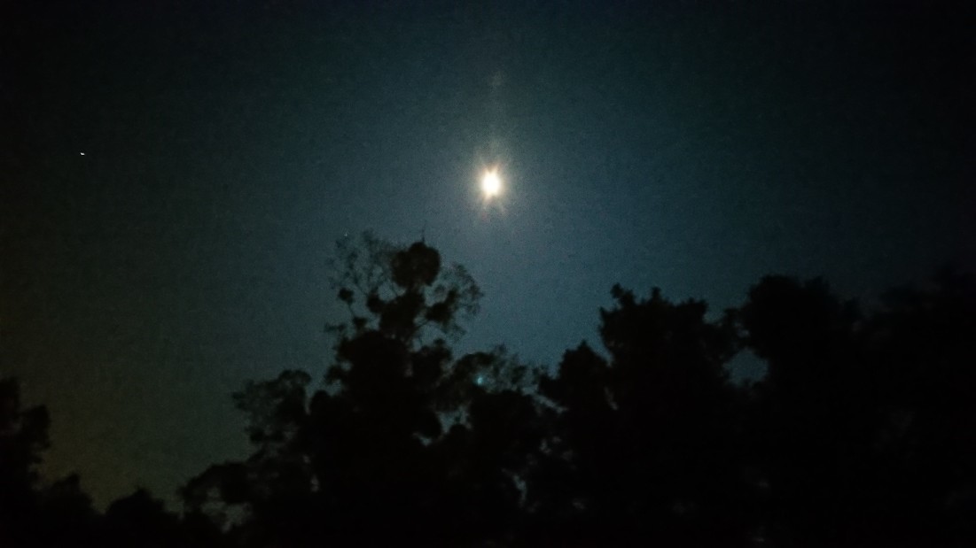 c0175339_23394048.jpg