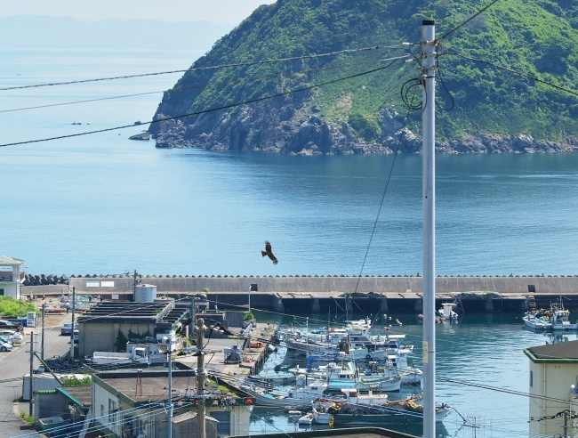 とことこ南さつま海道_c0281841_23011425.jpg