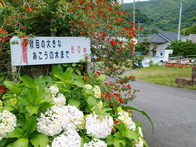 c0281841_23051925.jpg