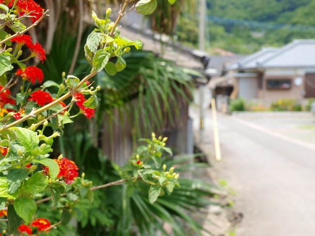 とことこ南さつま海道_c0281841_23065567.jpg