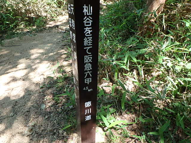 f0334143_1940316.jpg