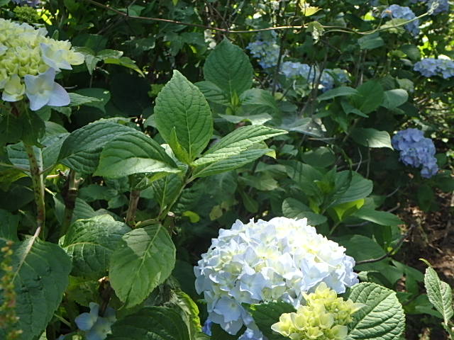 f0334143_19405258.jpg
