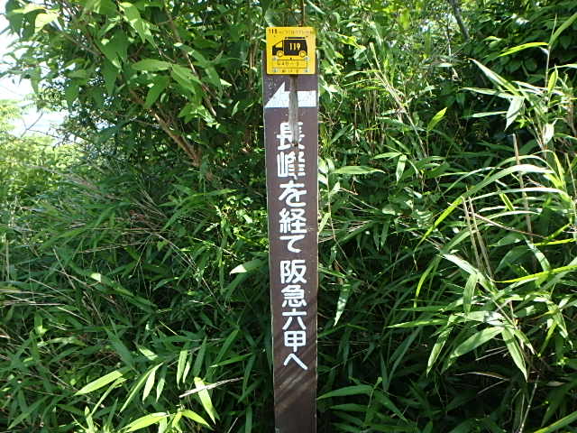 f0334143_19452513.jpg