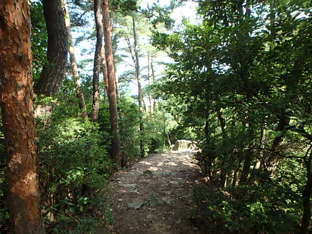 f0334143_19525660.jpg