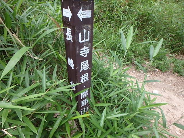 f0334143_2013833.jpg