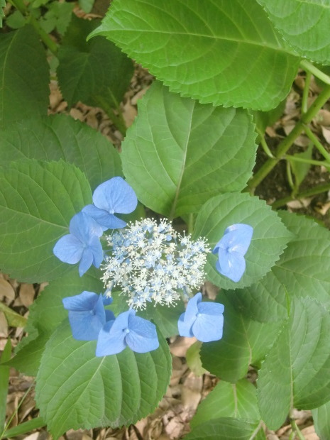 f0329849_13145212.jpg