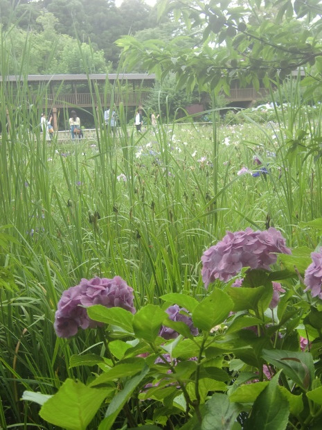 f0329849_13251919.jpg