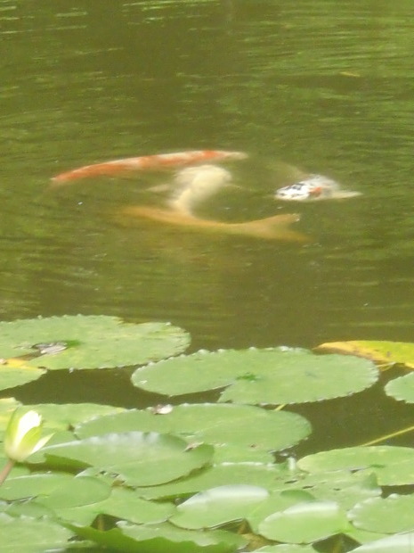 f0329849_13345121.jpg