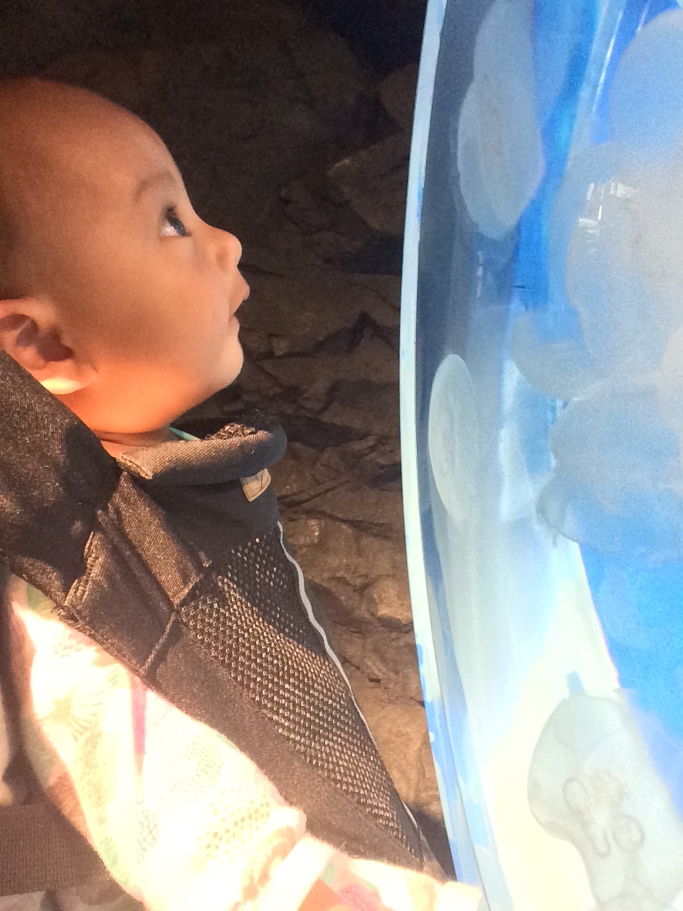 Mage baba 5months ☆_b0247567_21113418.jpeg