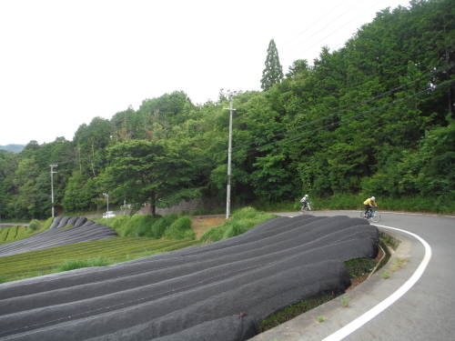 童仙房　峠サイクリング_b0332867_10473832.jpg