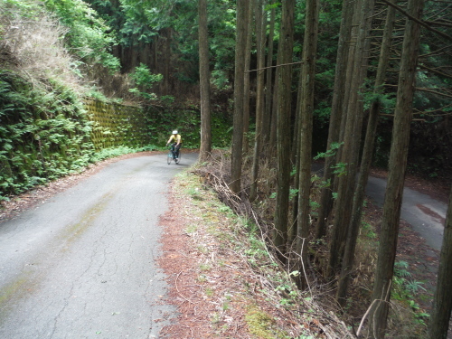 童仙房　峠サイクリング_b0332867_10501472.jpg