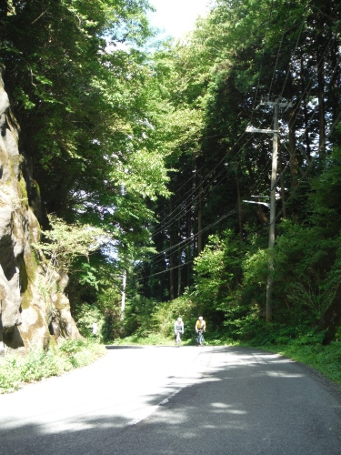 童仙房　峠サイクリング_b0332867_11001966.jpg
