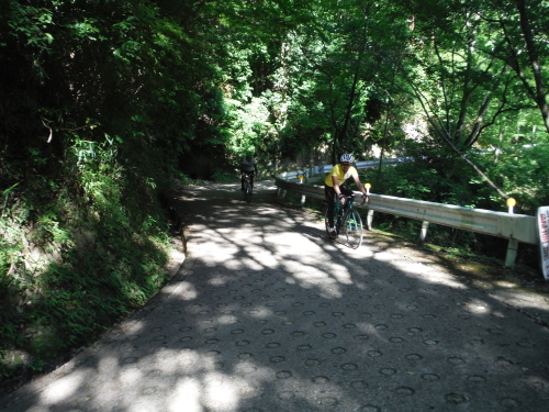 童仙房　峠サイクリング_b0332867_11010492.jpg