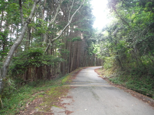童仙房　峠サイクリング_b0332867_11083399.jpg