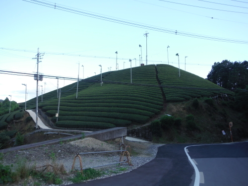 童仙房　峠サイクリング_b0332867_11115059.jpg