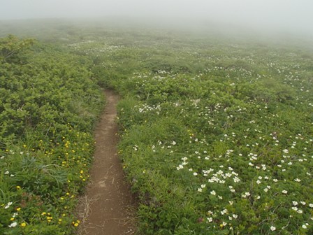 a0344771_19405368.jpg