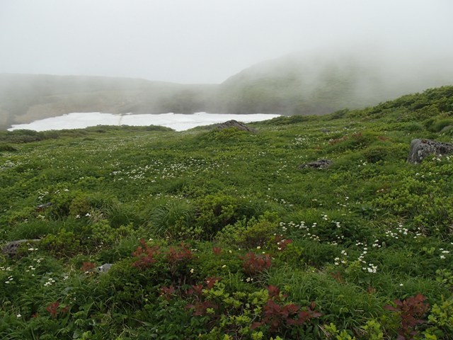a0344771_19421041.jpg