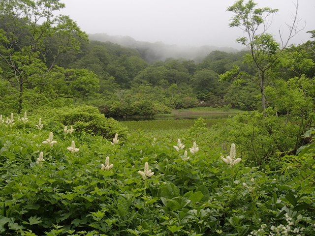 a0344771_19460178.jpg