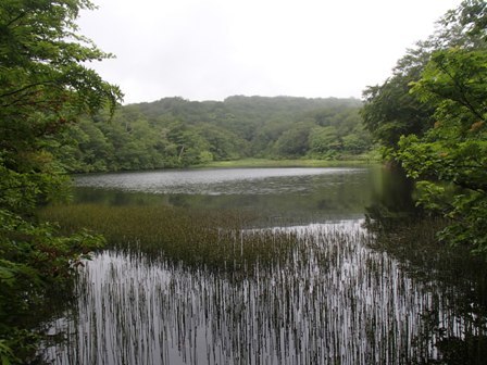 a0344771_19460990.jpg
