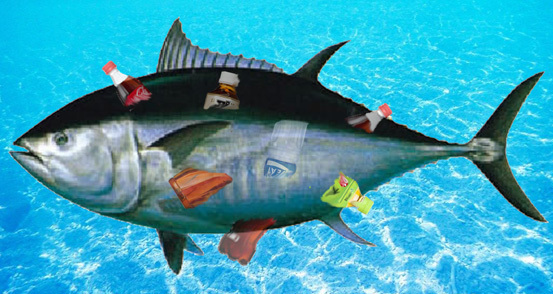 マイクロプラスチックゴミ問題は深刻です 気分はneutral