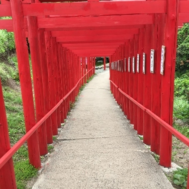 元乃隅稲成神社_d0360171_22230832.jpg