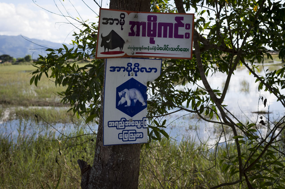 c0108673_011652.jpg