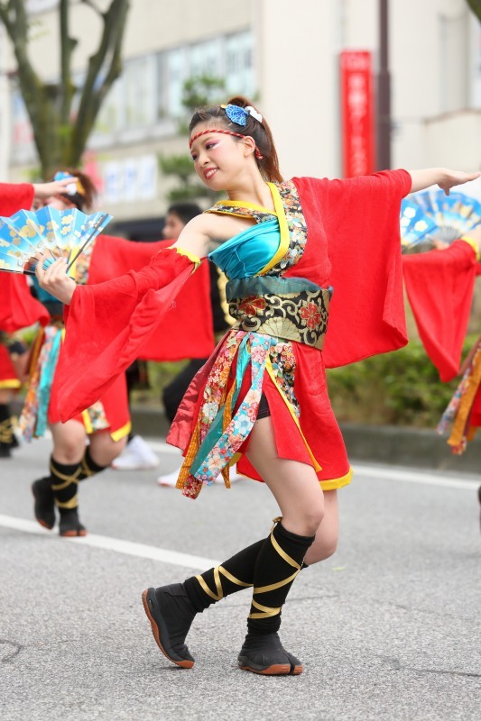 YOSAKOIソーラン日本海　彦根三十五万石大会　その6_c0196076_13291879.jpg