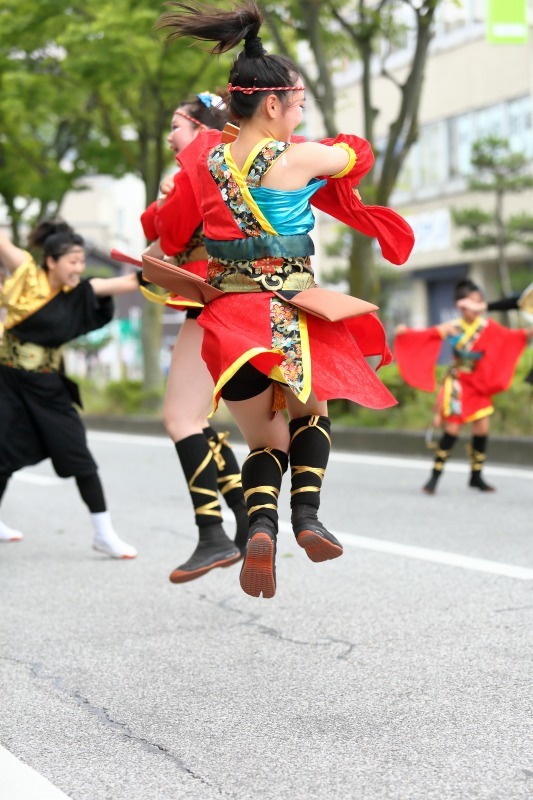 YOSAKOIソーラン日本海　彦根三十五万石大会　その6_c0196076_13300284.jpg